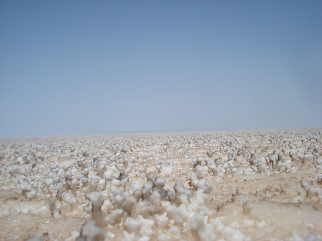 Salt on the Great Rann of Kutch